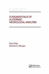 Fundamentals of Algebraic Microlocal Analysis