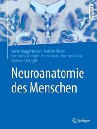 Neuroanatomie des Menschen