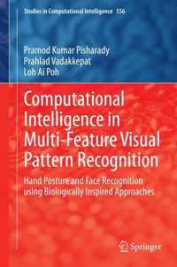 Computational Intelligence in Multi Feature Visual Pattern Recognition