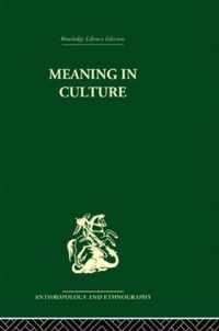 Meaning in Culture