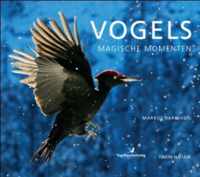 Vogels, magische momenten