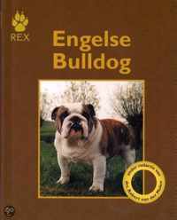 Engelse Bulldog