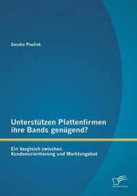 Unterstutzen Plattenfirmen ihre Bands genugend? Ein Vergleich zwischen Kundenorientierung und Marktangebot