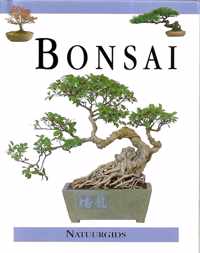 Bonsai