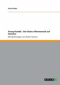 Orang Pendek - Der kleine Affenmensch auf Sumatra