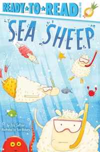 Sea Sheep