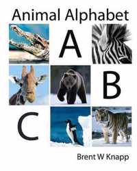 Animal Alphabet