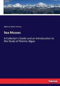 Sea Mosses