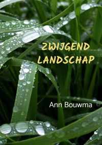 Zwijgend landschap - Ann Bouwma - Paperback (9789464189193)