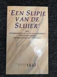 'Een Slipje Van De Sluier'