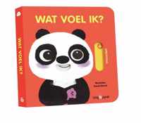 Wat voel ik ?