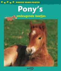 Pony's