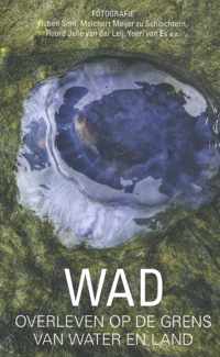 Wad