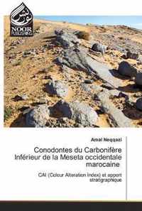 Conodontes du Carbonifere Inferieur de la Meseta occidentale marocaine