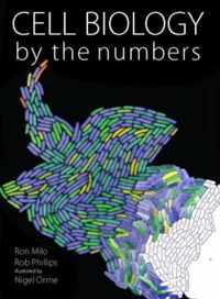 Cell Biology By The Numbers