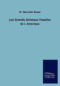 Les Grands Animaux Fossiles