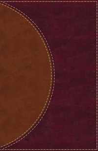 Amplified Reading Bible, Leathersoft, Brown, Thumb Indexed