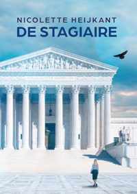 De Stagiaire - Nicolette Heijkant - Paperback (9789464374308)