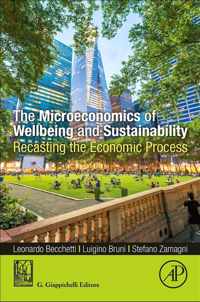 The Microeconomics of Wellbeing and Sustainability