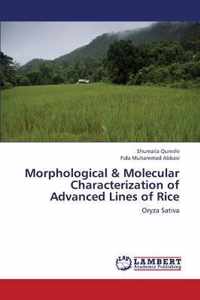 Morphological & Molecular Characterization of Advanced Lines of Rice