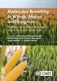 Molecular Breeding in Wheat, Maize and Sorghum