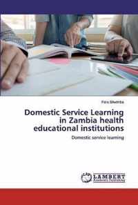 Domestic Service Learning in Zambia health educational institutions