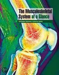 The Musculoskeletal System at a Glance