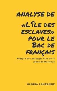 Analyse de L'ile des esclaves pour le Bac de francais