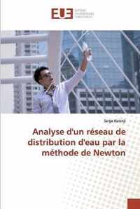 Analyse d'un reseau de distribution d'eau par la methode de Newton