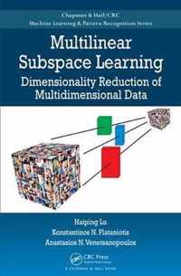 Multilinear Subspace Learning