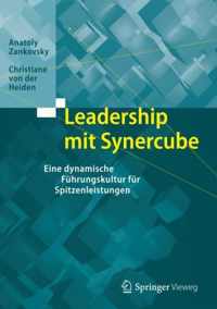 Leadership Mit Synercube