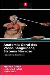 Anatomia Geral dos Vasos Sanguineos, Sistema Nervoso