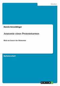 Anatomie eines Proteststurmes