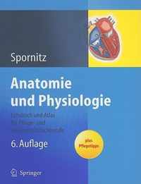 Anatomie Und Physiologie