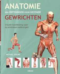 Anatomie van oefeningen voor gezonde gewrichten