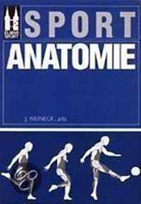 Sport Anatomie