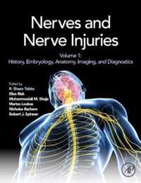 Nerves and Nerve Injuries