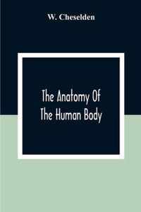 The Anatomy Of The Human Body