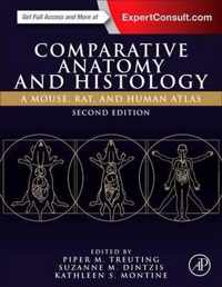 Comparative Anatomy and Histology