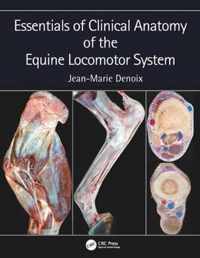 Essentials of Clinical Anatomy of the Equine Locomotor System