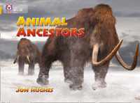 Animal Ancestors