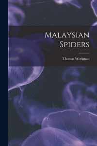 Malaysian Spiders