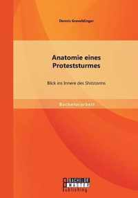 Anatomie eines Proteststurmes