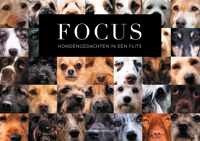 FOCUS