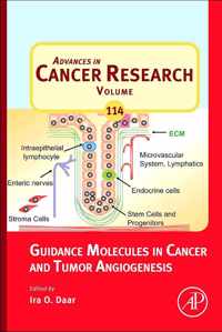 Guidance Molecules in Cancer and Tumor Angiogenesis