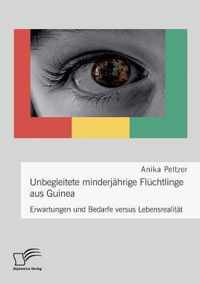 Unbegleitete minderjahrige Fluchtlinge aus Guinea. Erwartungen und Bedarfe versus Lebensrealitat