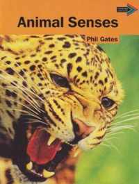 Animal Senses South African edition