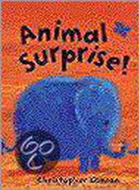 Animal Surprise!