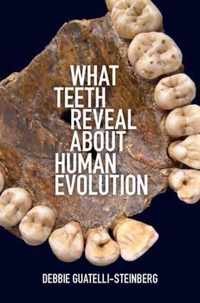 What Teeth Reveal about Human Evolution