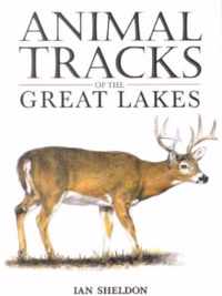 Animal Tracks of the Great Lakes